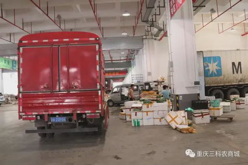 风雨同舟，共抗疫情——三科农商城为重庆抗疫加油，与大家共渡难关